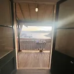 Golden Dream